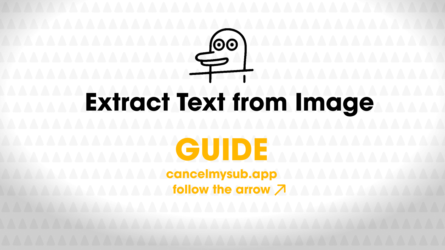 Guide to Extract Text from Image